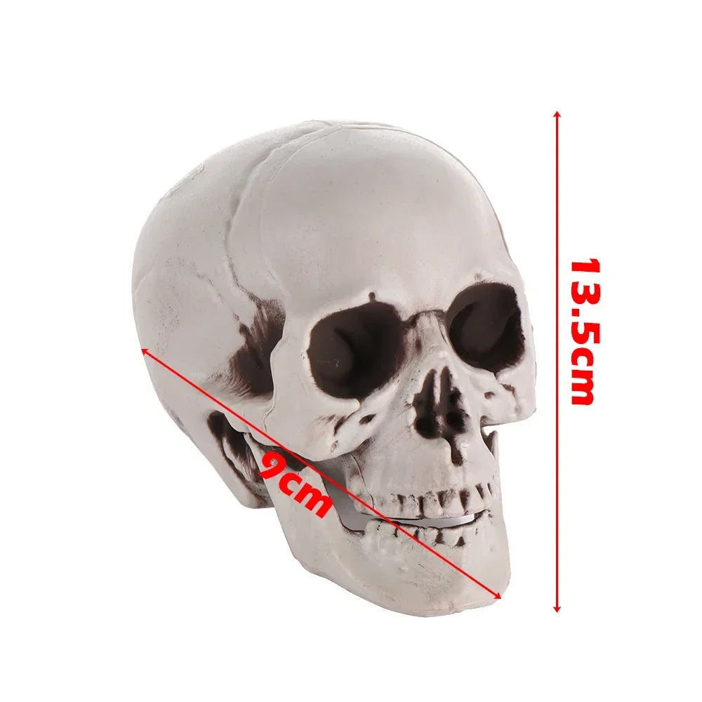 All Size Human Skull Head Skeleton Hanging Skull Halloween Style Photo Prop Home Event Party Decoration Game Supplies